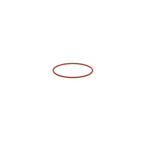 IKA SY O-ring 100 FEP,DN100,-60–200°C 0020113867