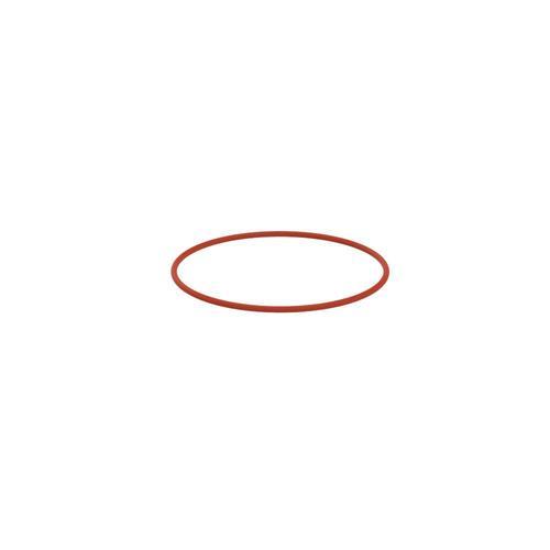 IKA SY O-ring 150 FEP, DN150 0020113869