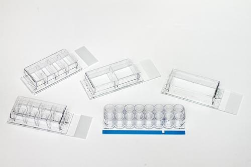 NUNC LabTek I separable 8 chambers, slide 177445