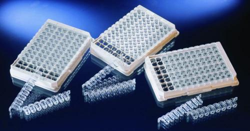 NUNC Lockwell C8 MaxiSorp 12-well 448526