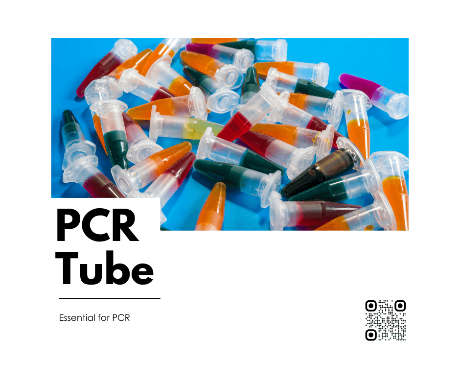 PCR-Röhrchen in einem Rack