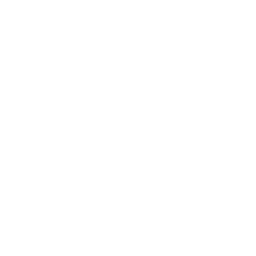 Spyndl logo
