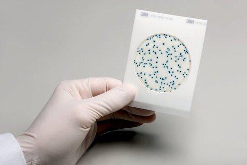 3M Food Safety Count plates, Petrifilm 3M, 100 plates 6450